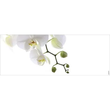 Obklad Koupelnová zádní stěna mySPOTTI aqua Orchid phala 120x45 cm