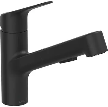 Vodovodní baterie Dřezová baterie se sprchou AVITAL Yukon černá 146705