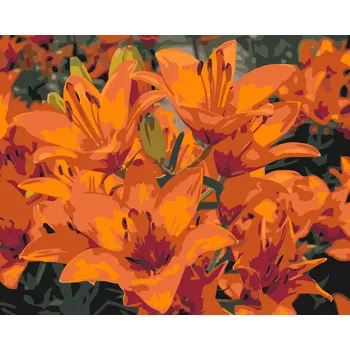 Malování podle čísel - Oranžové lilie Velikost: 30x40cm, Rámování: Pouze srolované plátno
