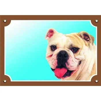 Barevná cedulka Pozor pes, Buldog anglický