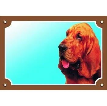 Barevná cedulka Pozor pes, Bladhaund