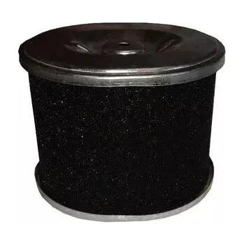 Vzduchový filtr Vzduchový filtr pro motor G390F, G420F (RP300HPCA, SSA400G, SSA500G)