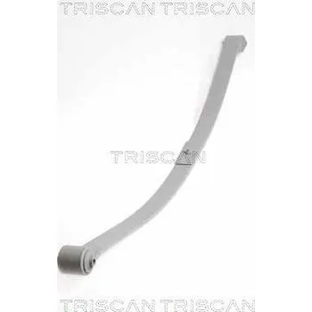 Paket pružin TRISCAN 8765 29020