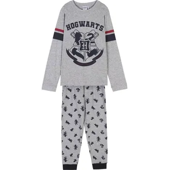 Chlapecké pyžamo Dětské pyžamo Harry Potter - Bradavice 7 let