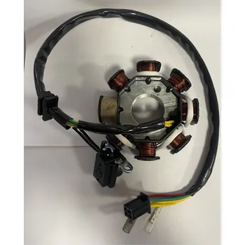Zapalovací cívka Markstore - ATV Zapalovací a dobíjecí cívka stator pro Sonic 200cc