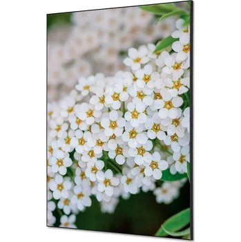 Textilní dekorace na zeď A1 Bílé květiny Spirea