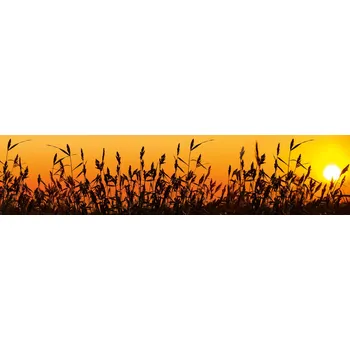 Fototapeta DIMEX KI-260-128 260 x 60 cm