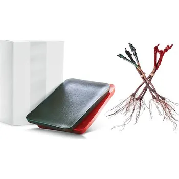 Lak na dřevo Revilan zelený – vosková kompozice 1 Kg