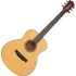 Akustická kytara Pasadena SG01SZ GS N