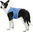 Obleček pro psa Trixie Chladící vesta PVA 20 cm