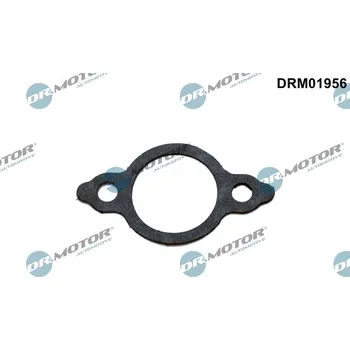 Auto-moto Těsnění, vedení AGR ventilu Dr.Motor Automotive DRM01956