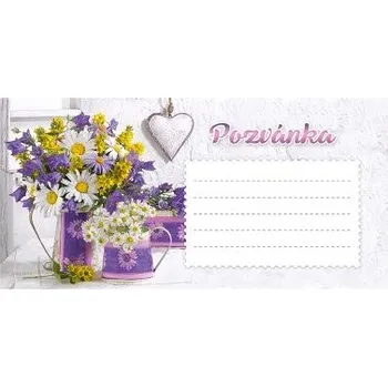 Pozvánka ARGUS Pozvánka na oslavu 24030010 - 10kusů