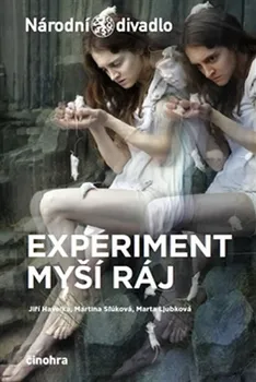 Umění Experiment myší ráj - Jiří Havelka a kol. (2016, brožovaná)