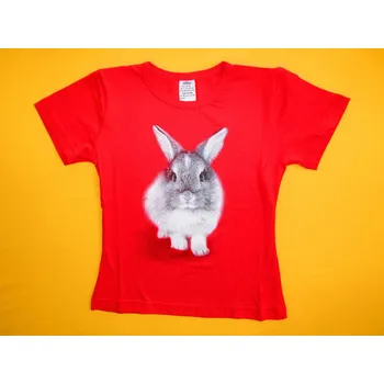 Dívčí tričko Arex, ČR Tričko krátký rukáv Králíček 1 - vel. 92 Barva: červená, Velikost: 92