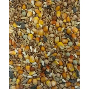 Krmivo pro ptáka Versele-Laga Classic All Round Basic 5 kg standardní všestranná ekonomická směs pro všechna roční období