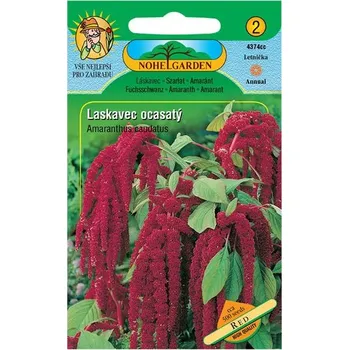 Semeno Nohel Garden Laskavec ocasatý červený