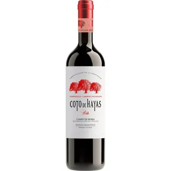 Víno Bodegas Aragonesas SPA COTO DE HAYAS roble red