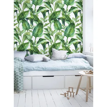 Tapeta Coloray Fototapeta Zelené banánové listy Samolepící Fototapeta Vliesová 250 x 250 cm coloraydecor-f-ss-93345661