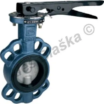 Ventil EFFEBI - Itálie | Uzavírací klapka mezipřírubová ATLANTIS (přírubová) nerezová klapka - DN100 B101