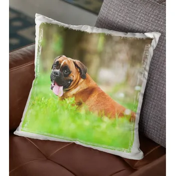 Dekorativní polštářek Polštář Pes Boxer 29 x 29 cm