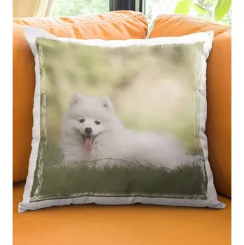 Dekorativní polštářek Polštář Pes 2 38 x 38 cm