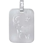Stříbrný přívěsek znamení zvěrokruhu - Kozoroh SILVEGOB11430S01
