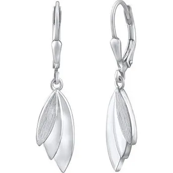 Náušnice Stříbrné visací náušnice ARBOREN QRE309K