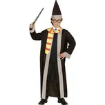 WIDMANN Dětský kostým Harry Potter