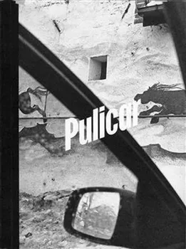 Umění Pulicar - Jaroslav Pulicar a kol. (2020, pevná)