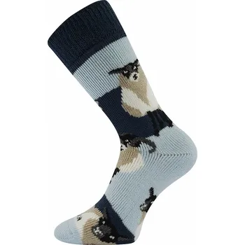 Dámské ponožky ARKTICA teplé ponožky s volným lemem Boma - OVEČKY 35-38 modrá