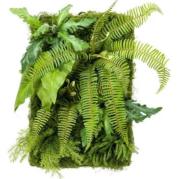 umělá květina Umělá zelená stěna MIX bez rámu 40x60cm - Do interiéru