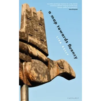 Cestování A Map Towards Fluency - Myles, Brenda Smith; Mahler, Kelly; Robbins, Lisa A.