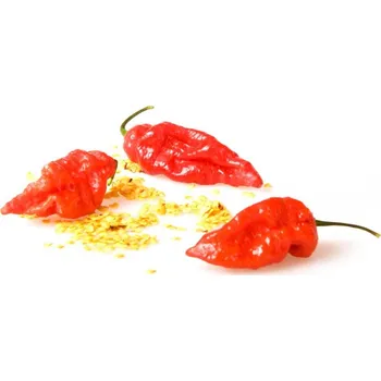 Koření Naga Bhut Jolokia red - semínka chilli