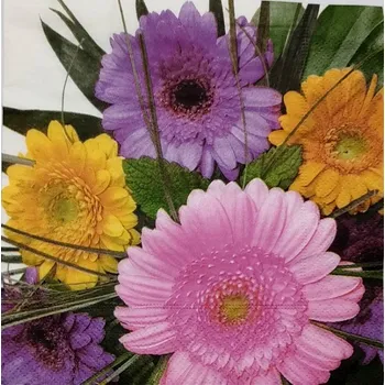 Karetní hra Gerbery mix