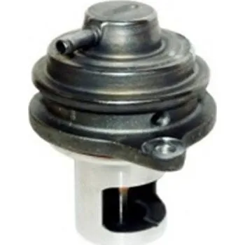 Ventil palivového systému AGR-Ventil MAGNETI MARELLI 571822112122