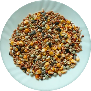 Krmivo pro ptáka Avicentra s.r.o. Holub standard základní krmná směs pro holuby 5 kg