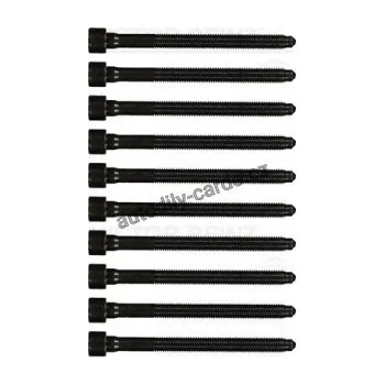 Těsnění motoru Sada šroubů pro hlavy válcu VICTOR REINZ (VR 14-32276-01)