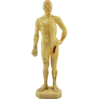 Akupunkturní model - muž 28cm