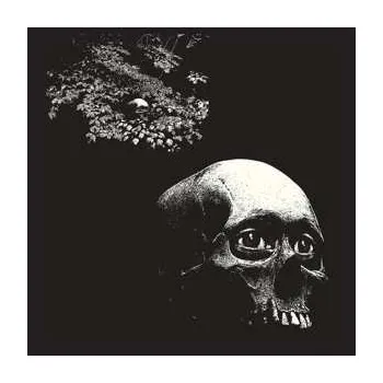 Zahraniční hudba LP Thee Oh Sees: A Foul Form 2022