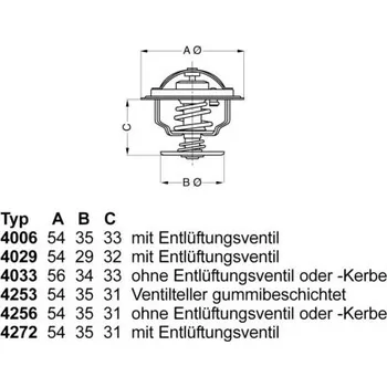 Těsnění motoru Termostat, chladivo BorgWarner (Wahler) 4006.82D