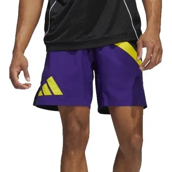 Pánské oblečení Šortky adidas GALAXY BASKETBALLSHORTS hk9465 Velikost M