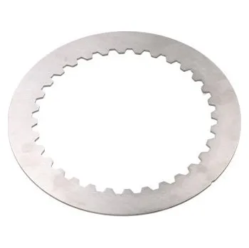 Převodovka Třecí deska ZF ZF 4181355024