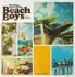 Zahraniční hudba The Many Faces Of The Beach Boys - Beach Boys [2LP]