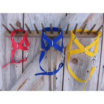 Ohlávka zelílená pro velké lamy (XL)