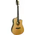 Elektroakustická kytara Gilmour Woody WN CEQ