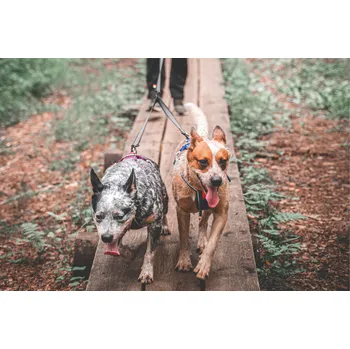 Non-stop Dogwear Touring Double rozměr: 13 mm