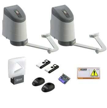 ROGER Brushless AYRON AY 255