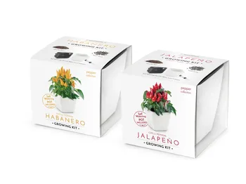 Semeno Domestico Vypěstuj si Chilli papričky Habanero + Jalapeňo + samozavlažovací květináč bílý