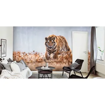 Malvis ® Tapeta Bengalský tygr Vel. (šířka x výška): 360 x 260 cm