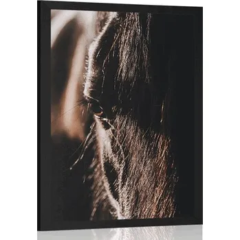 Plakát Dovido Plakát majestátní kůň